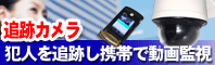 �Ɛl�ǐՌ^�h�ƃJ����