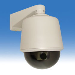 DCO-DM-25 防犯用ダミーカメラ、大型